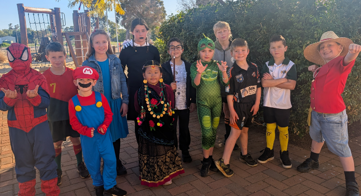 Book Week 2025 dress up