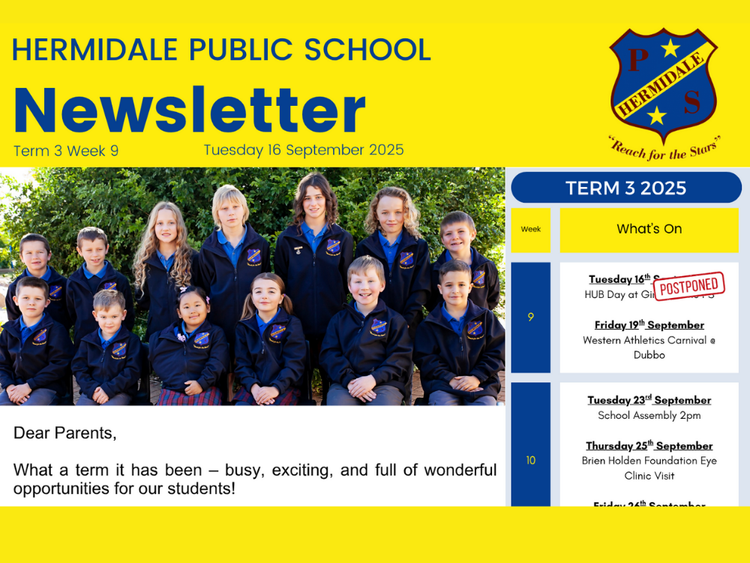 a snip of the front page of Hermidale PS Newsletter